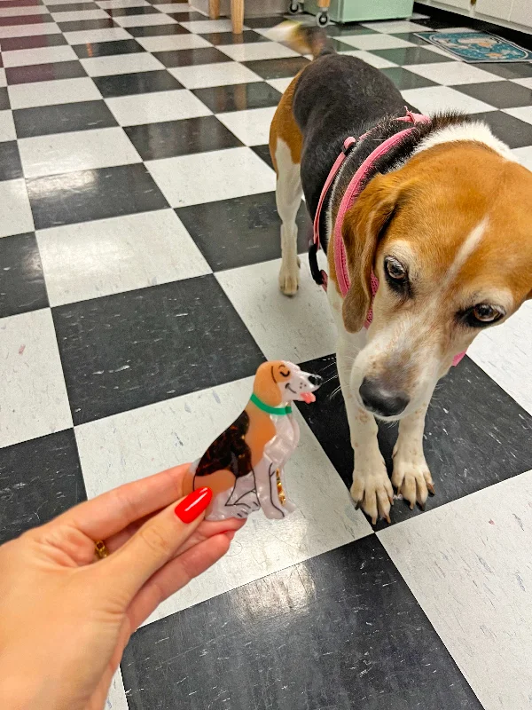 Beagle Hair Claw